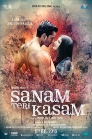 Sanam Teri Kasam (2016)